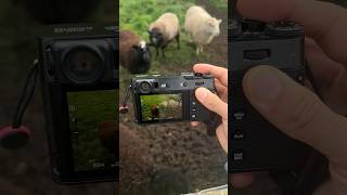 Fujifilm X100V at the 🐑 fujifilm x100v photography [upl. by Areht]