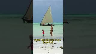 Best Time to Visit Zanzibar Travel Guide [upl. by Mayfield]