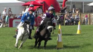 Shetland Pony Grand National [upl. by Bethezel73]