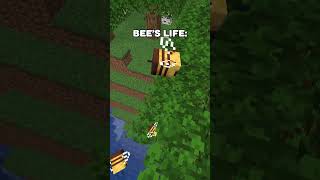 bees are cute minecraft survival bees funny meme shorts english [upl. by Ednargel]