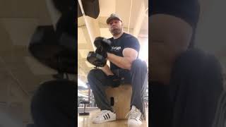 Concentration Hammer Curls [upl. by Cohl633]