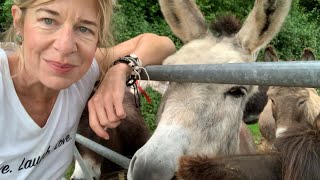 Given we are led by donkeys… plus some advice for youth on charity work [upl. by Holder]