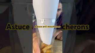 Astuce ULTIME contre les moucherons  astuce mouche moucherons piege antimoucherons [upl. by Idieh]