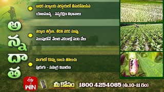 6th September 2024  Annadata  అన్నదాత  Full Episode  ETV Telugu [upl. by Pacifica]