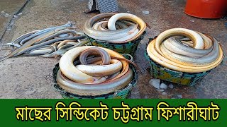 মাছের সেন্টিকেট চট্টগ্রাম ফিশারীঘাট  Fish Centiket Chittagong Fishery Ghat [upl. by Michey746]